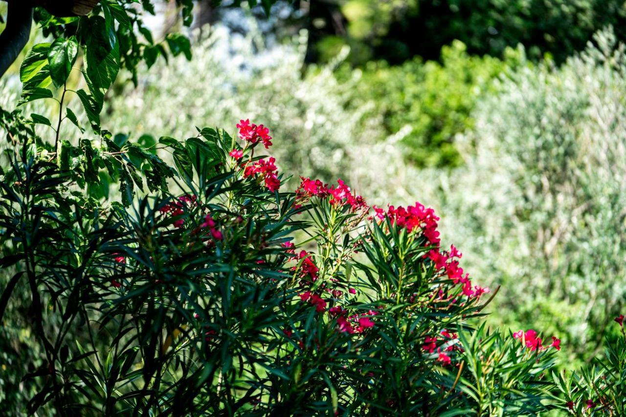 Agriturismo Le Chiusure San Felice del Benaco Exterior foto